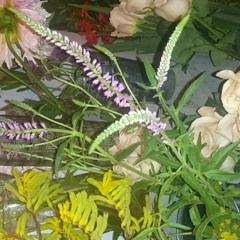 Brad Van smash 7/24/15