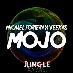 JERST02: Michael Fortera & Veekas - MOJO (Original Mix)