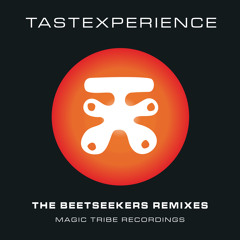 The Beetseekers Remixes TasteXperience Hydewood , Echo , Ghost