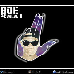 BOE #EVOLVE II