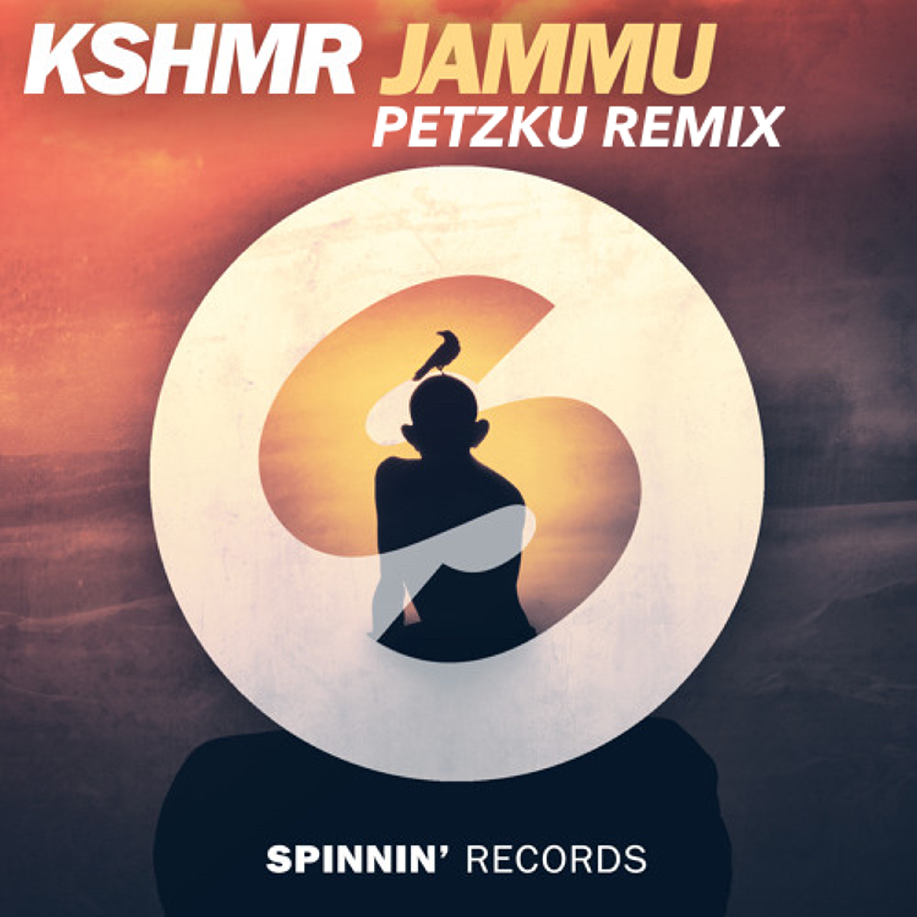 KSHMR - Jammu (Petzku Remix) episode artwork