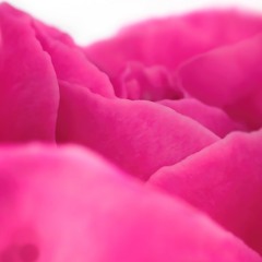 Your Love Has Made Me Crazy! - Qari Saeed Chishti