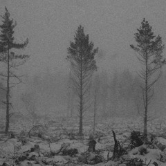 Desolation