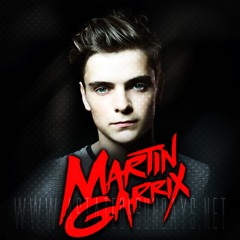Martin Garrix  - Break Through The Silence (Roger Roman Remix)