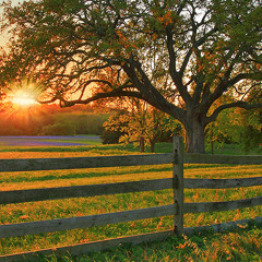 Adagio (A Yesterdays Hymn) ~  <East West Libraries>