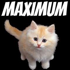 Maximum Pussy