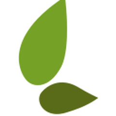 True Manifesting - part 1