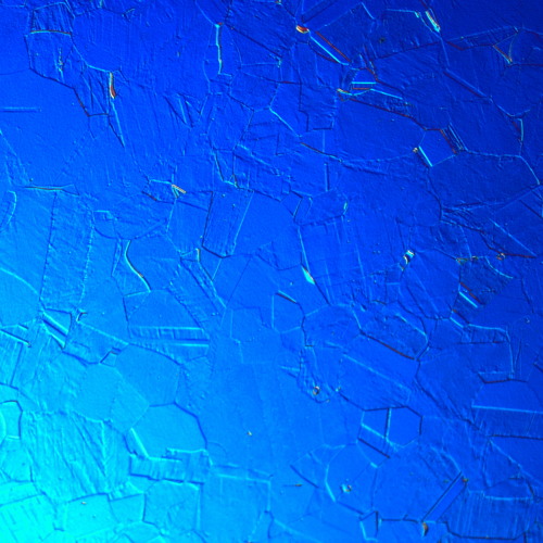 Phase Study For Paul Muller