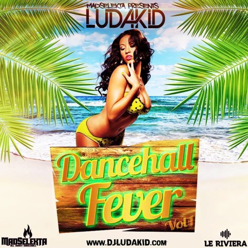DJ Ludakid - Dancehall Fever Vol.1(Presents By: Mad Selekta)