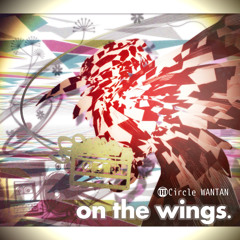 WTCD-0003 - on the wings