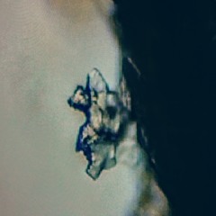 U Half 2 Go Slo 2 Go Fast