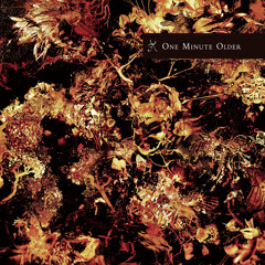 Pasania(via V.A - ONE MINUTE OLDER / Virgin Babylon Records 5th Anniversary)