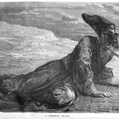 Prima Donna Visits Bitchtown