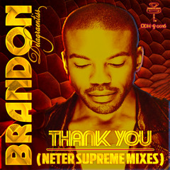 Thank You (Neter Supreme Mixes) (AVAILABLE NOW: www.originaldrumhsi.bandcamp.com)