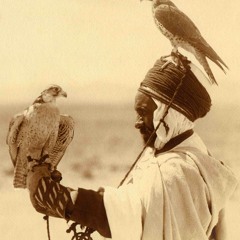 #TMCI (The Multi Cultural Isms) --- SynTalk