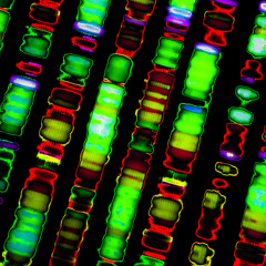 #TWAP (The Whole And Parts) --- SynTalk