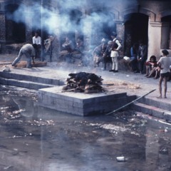 #TROD (The Reasons Of Dying) --- SynTalk