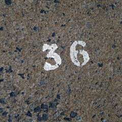 36 Y