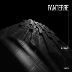 PAM029 : A-Mari - Phasme (Original Mix)