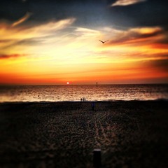 BeautifulJourney Summerdream