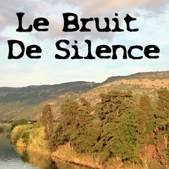 Le Bruit De Silence - The Noise Of Silence