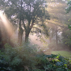#TPOC (The Poetry Of Coexistence) --- SynTalk