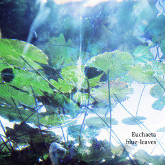 blue-leaves