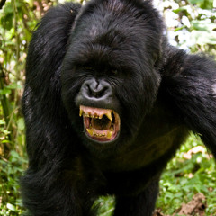 見てんじゃねえよ