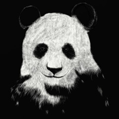 Rastamachine - Panda Dub (Binidub Remix)