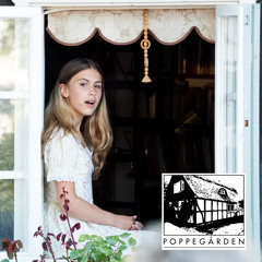 Ur: Spegelbilder (Inledning)