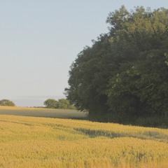 Beth Perrin - Fields Of Gold (Eva Cassidy/Sting cover)