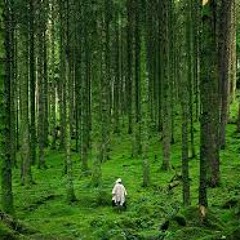 Physis - Satiz, Sacro & Cuervhos