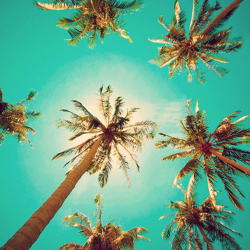 Nick Bertke - In Love (Luke's Summer Fun Rework)