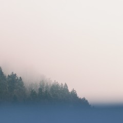 Interference (Sample)