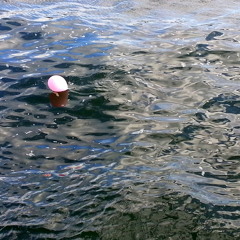 Wave On The Water - Antennas