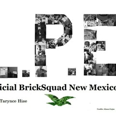 EVERYTHING LOUD ::loudmanDAN FT TMULABSM