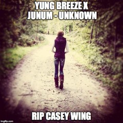 Yung Breeze Ft. Junum - Unknown