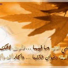 لا تأسفن على الدنيا وما فيها - عبد العزيز حكمي