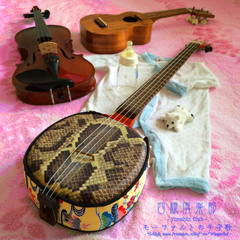 モーツァルトの子守歌 -Schlafe, mein Prinzchen, schlaf' ein - Wiegenlied-- 四線倶楽部 30sec