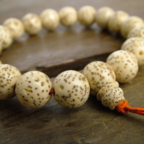 Charodey Jeddy Aka Vobr - Lotus Seed