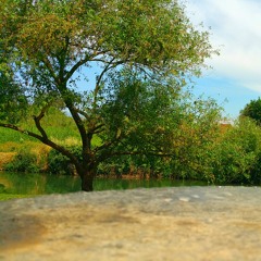 وائل كفوري - حكم القلب