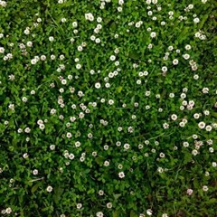 Some Day (I'll Come Back To Haunt You)