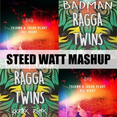 Skrillex​, Tujamo - Bad Man All Night ( Steed Watt Mashup )