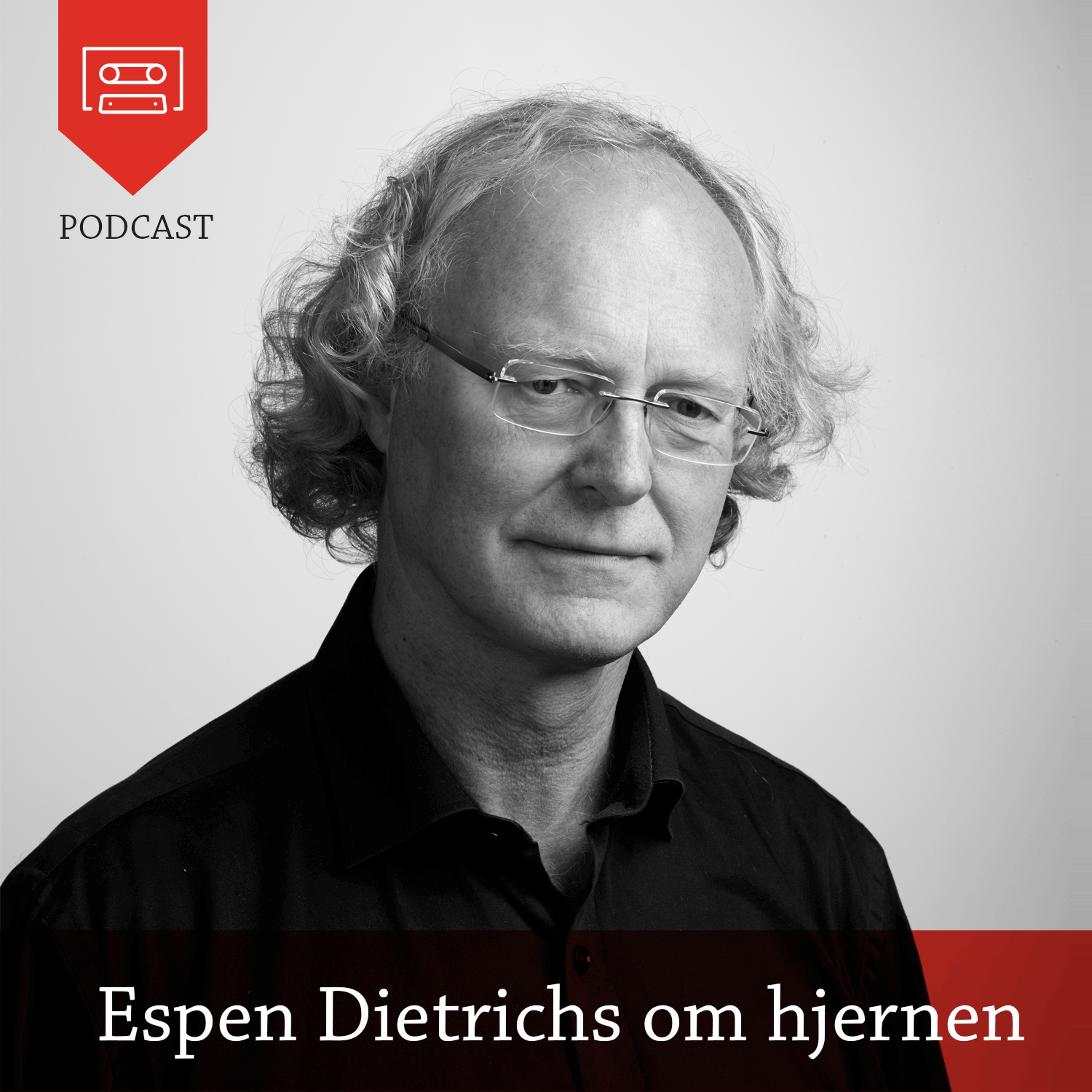 Universitetsforlagets podkast