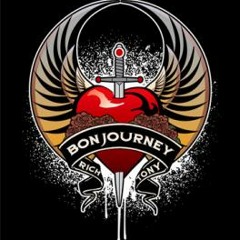 Journey - stone in love (CS's instrumental cover)