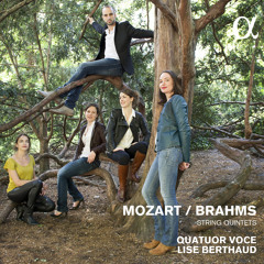 BRAHMS - String Quintet No.2 in G Major, Op.111 I. Allegro non troppo, ma con brio - Quatuor Voce