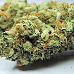 Master Kush (Feat Audio-X)