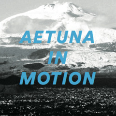 A3 - Aetuna Revisited