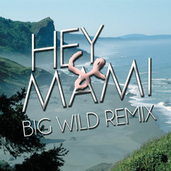 Hey Mami - Sylvan Esso (Big Wild Remix)