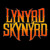 Artwork for Lynyrd Skynyrd Interview